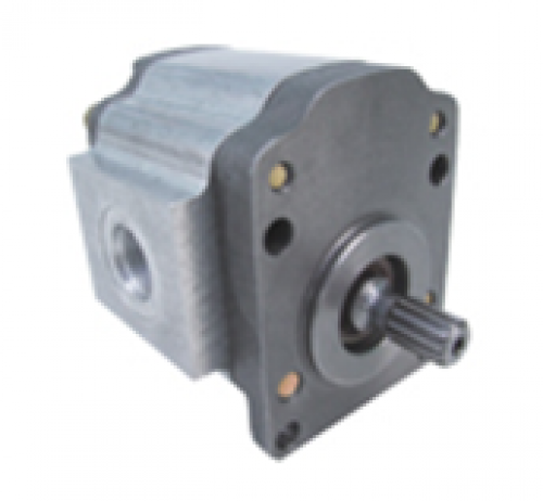 1PN Series Gear Pumps 1PN Series Gear Pumps 1PN Series Gear Pumps 1PN Series Gear Pumps