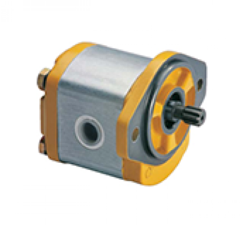 2P1 Series Gear Pumps  2P1 Series Gear Pumps 2P1 Series Gear Pumps  2P1 Series Gear Pumps